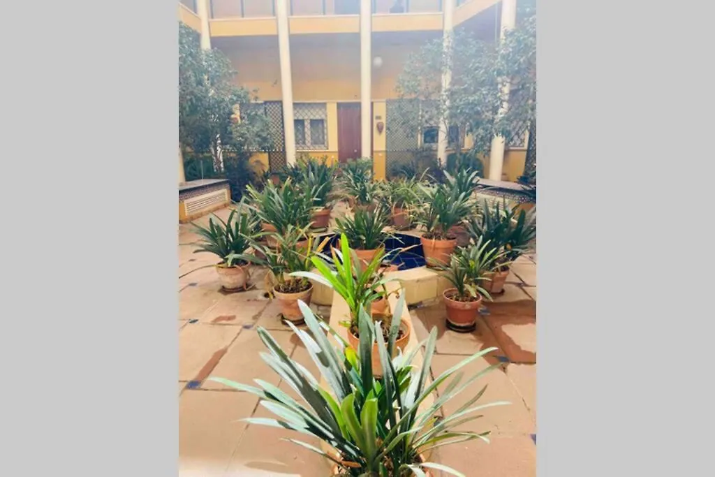 Apartment Cozy&Quiet Apt In Sanvicente St Andalusian Patio Seville