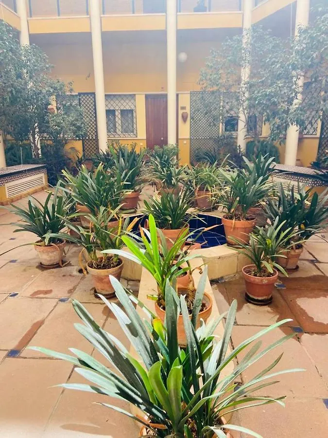 Apartment Cozy&Quiet Apt In Sanvicente St Andalusian Patio Seville
